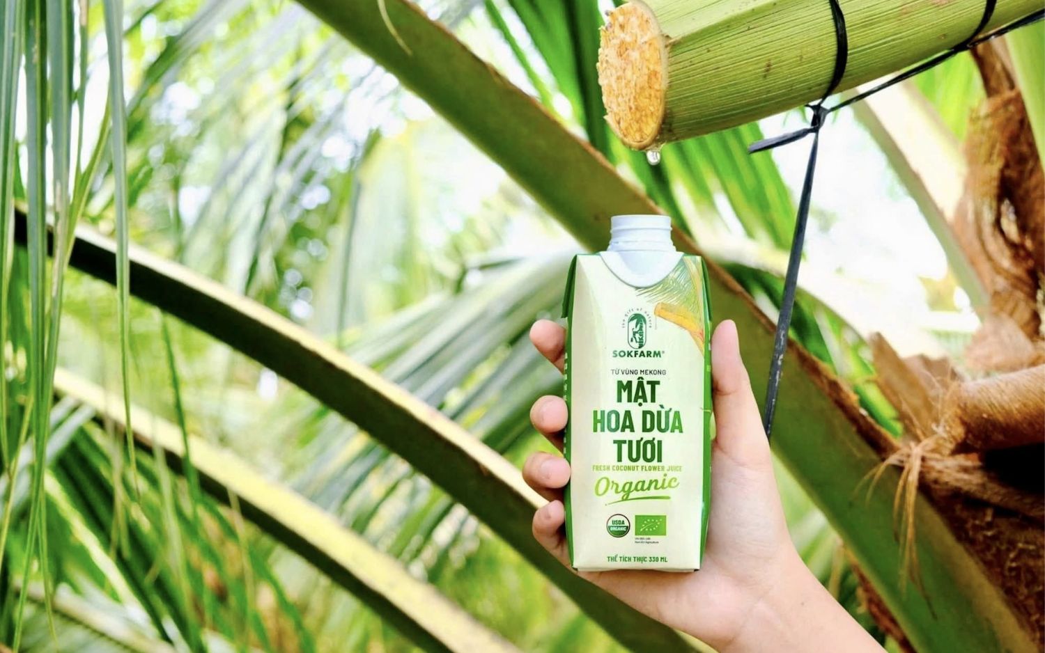 Mật Hoa Dừa Tươi Sokfarm: Thức Uống Bù Khoáng Tự Nhiên Từ Đất Giồng Trà Vinh