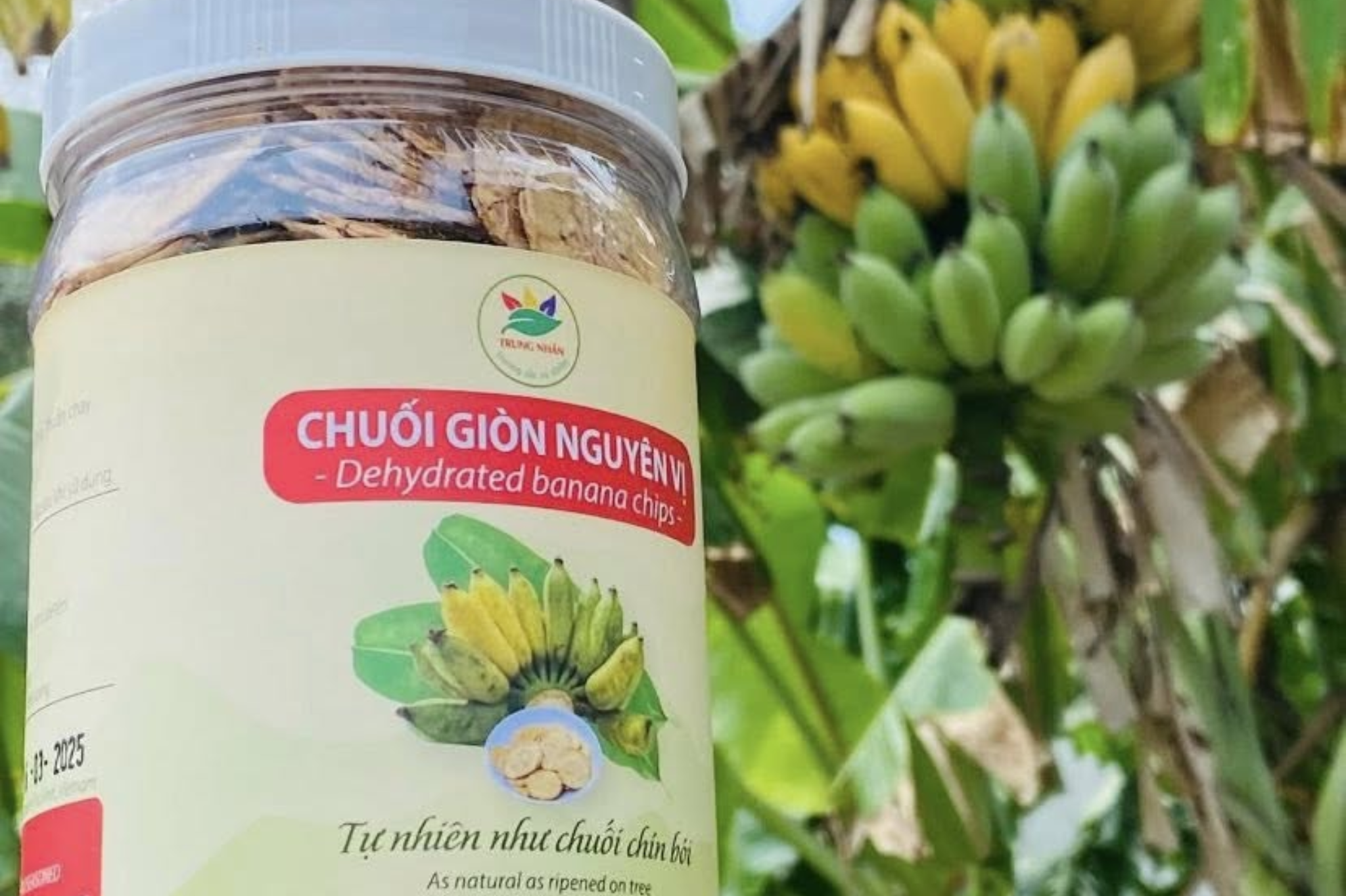 CHUỐI SẤY GIÒN NGUYÊN VỊ – GÓI TRỌN TÂM TÌNH CỦA NGƯỜI PHỤ NỮ 