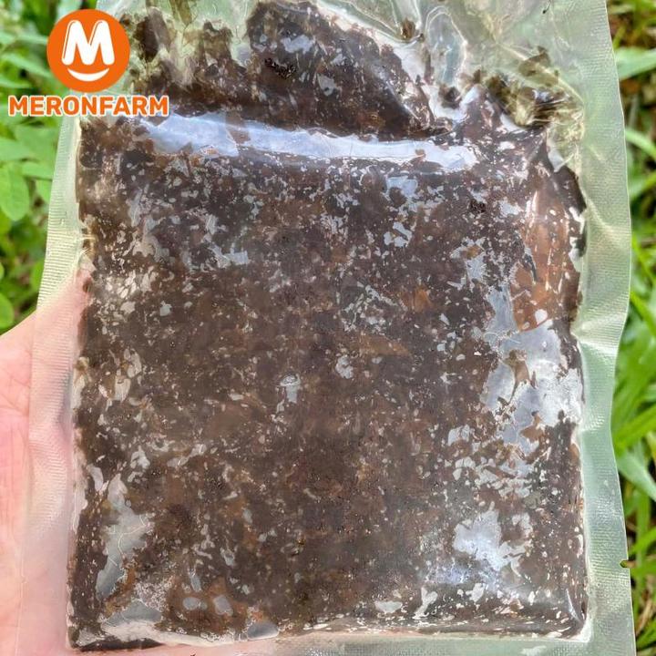 Rong biển mứt tươi Vifood - Túi 100gr